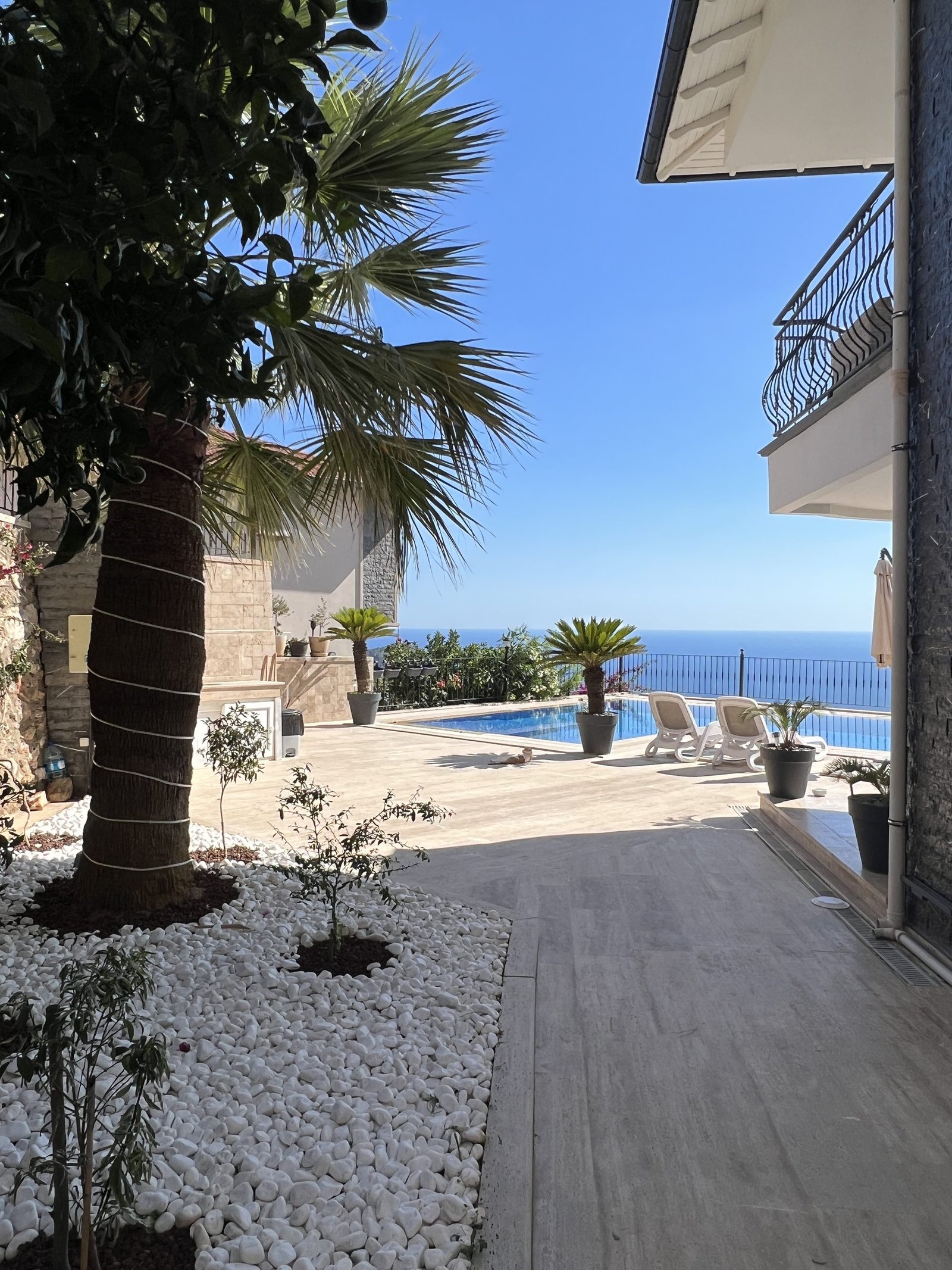Garten der Privatvilla in Bektaş Alanya